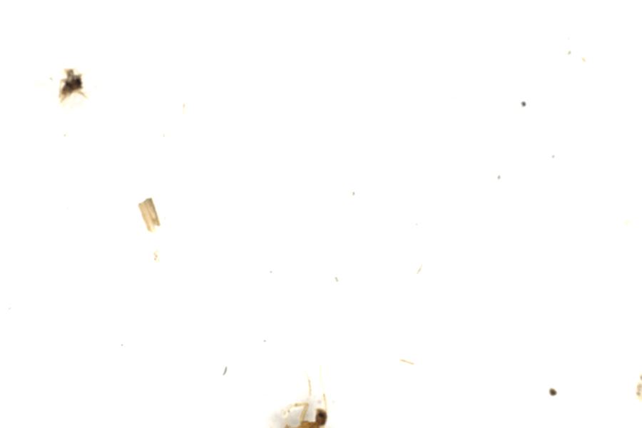 Image 65